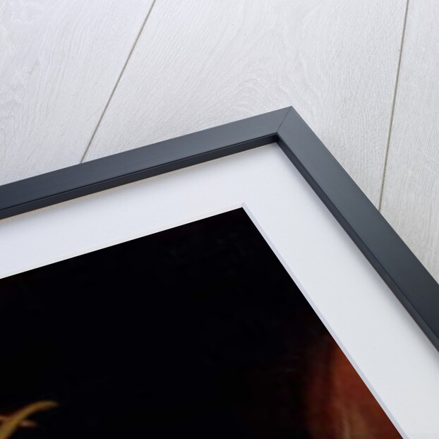 The Marquesa de Santa Cruz, 1805 by Francisco Jose de Goya y Lucientes