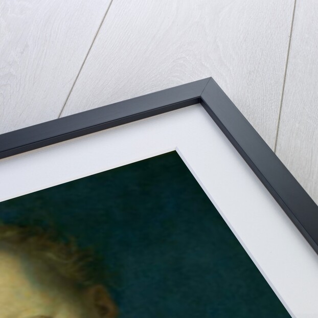 Don Garcia de Medici c.1550 by Agnolo di Cosimo Bronzino