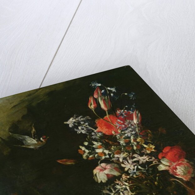 Still Life of Flowers by Paolo Porpora