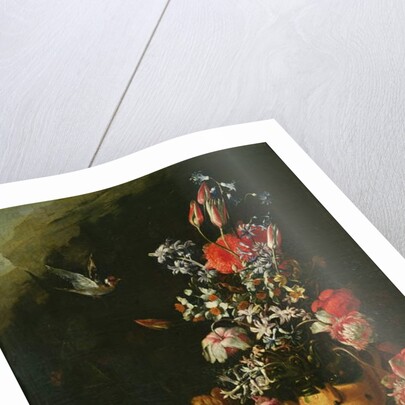 Still Life of Flowers by Paolo Porpora