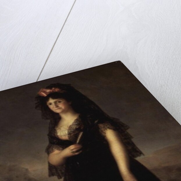 Queen Maria Luisa wearing a Mantilla, 1799 by Francisco Jose de Goya y Lucientes