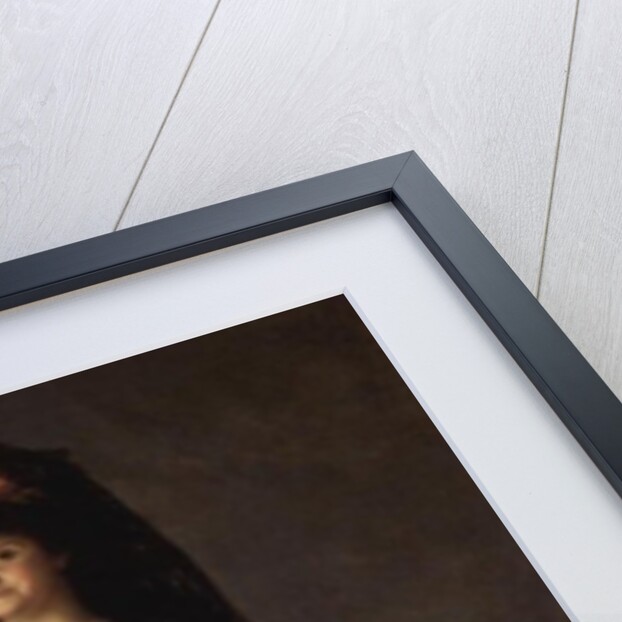 Queen Maria Luisa wearing a Mantilla, 1799 by Francisco Jose de Goya y Lucientes