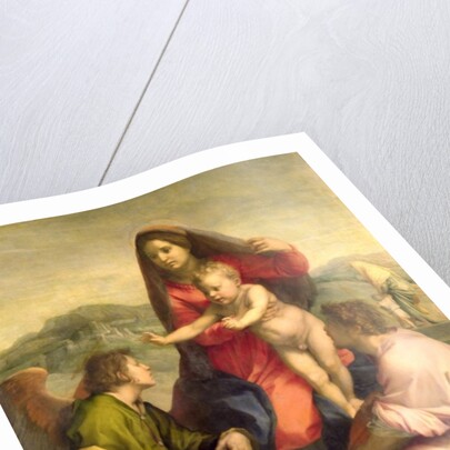 The Virgin and Child with a Saint and an Angel, c.1522-23 by Andrea del Sarto