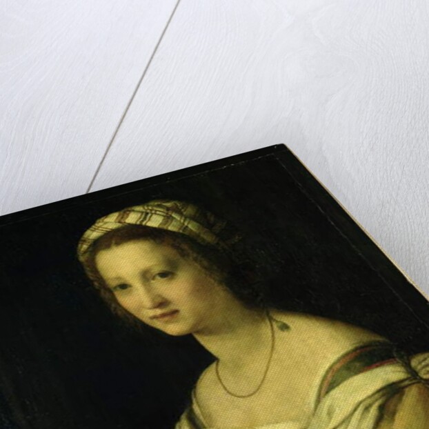 Lucrezia di Baccio del Fede, the Artist's Wife, c.1513/14 by Andrea del Sarto