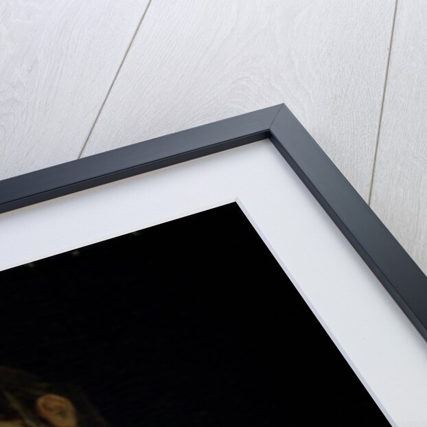 The Virgin and Child by Luis de Morales