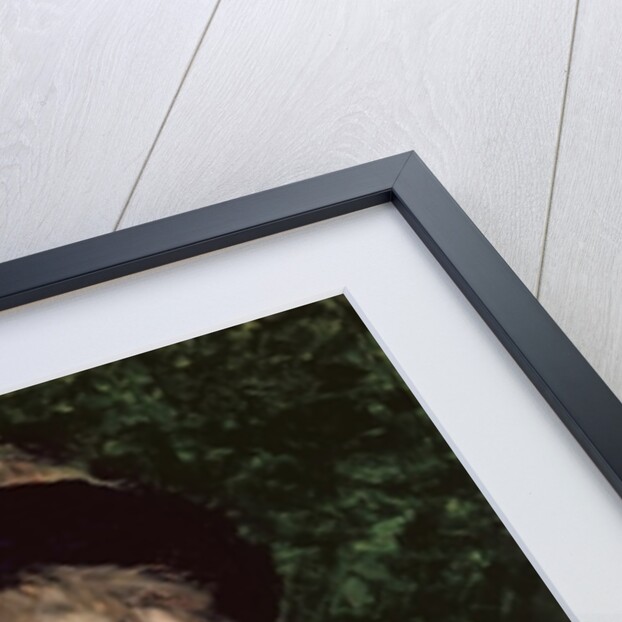 Aline Masson, the Artist's Model by Raimundo de Madrazo y Garreta