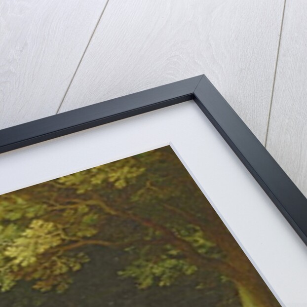 Landscape by Gillis van III Coninxloo