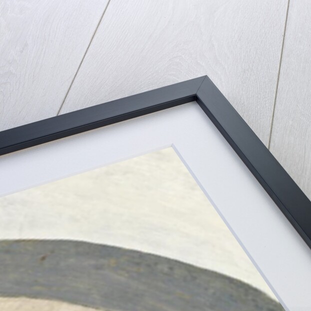 Saint Vincent Ferrer by Fra Bartolomeo