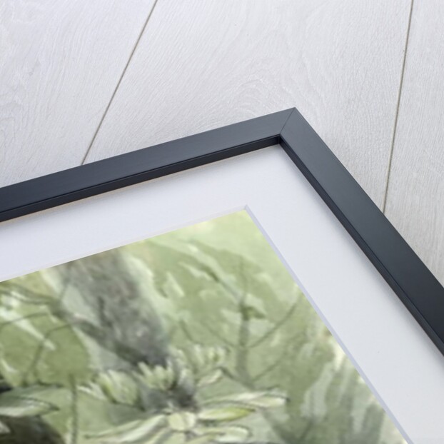 Diana and the Statesman, c.1960 by Osmund Caine