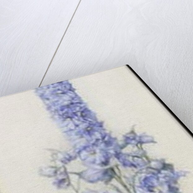 Delphiniums, c.1920 by James Valentine Jelley
