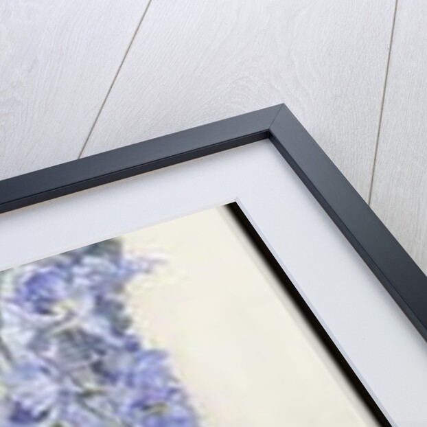 Delphiniums, c.1920 by James Valentine Jelley