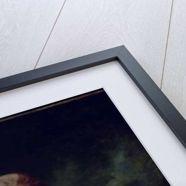 Lord Francis North, 1788 by George Romney