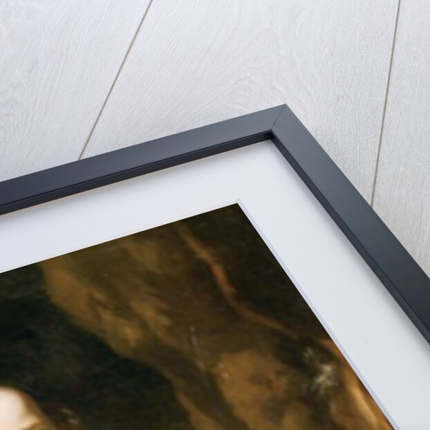 Portrait of a Girl, c.1664 by Nicolaes Maes