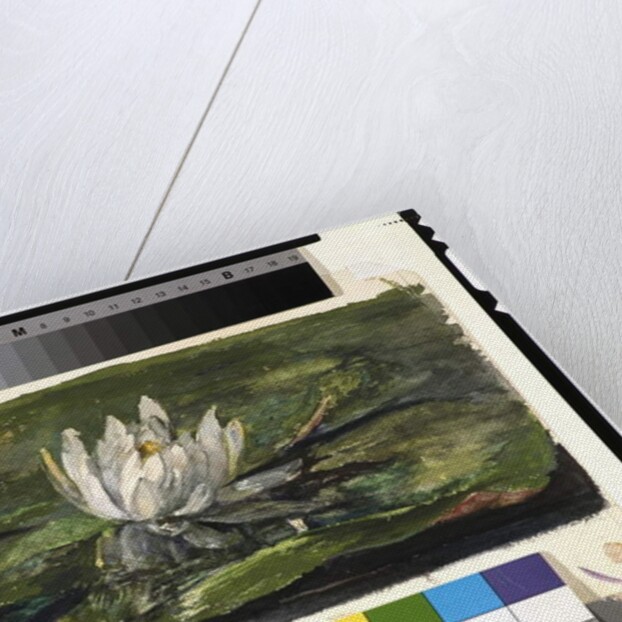 Water Lily in Sunlight, 1881 by John La Farge or Lafarge