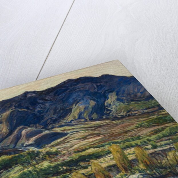 In the San Felipe Valley, 1927 by Charles P. Reiffel