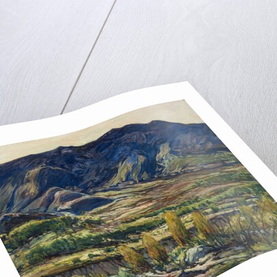 In the San Felipe Valley, 1927 by Charles P. Reiffel