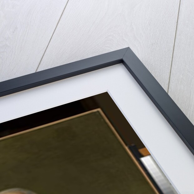 Vicente Maria de Vera de Aragon, Duque de la Roca, c.1795 by Francisco Jose de Goya y Lucientes