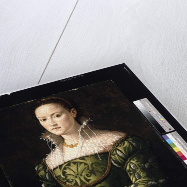 Portrait of a Lady, c.1560 by Alessandro Allori