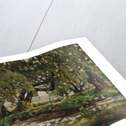 Edge of the Oak Grove, 1935 by Charles P. Reiffel