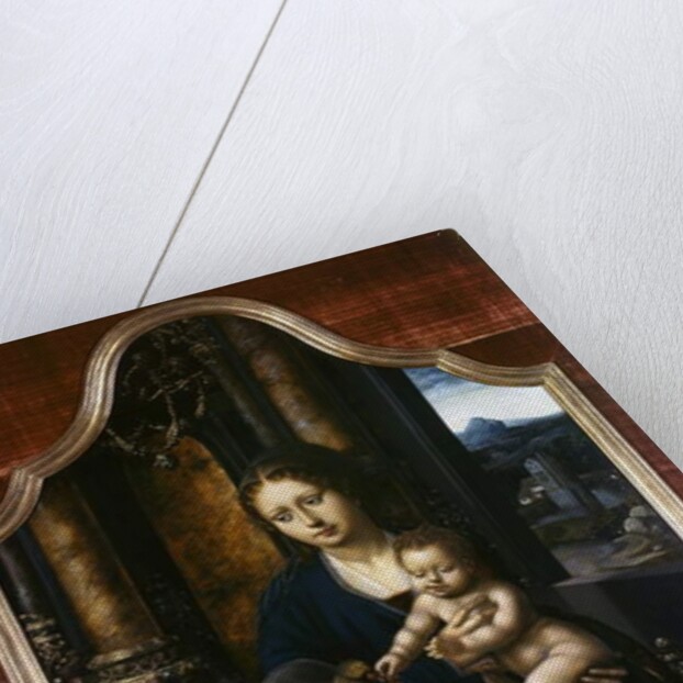 Madonna and Child, c.1520-30 by Master of the Parrot