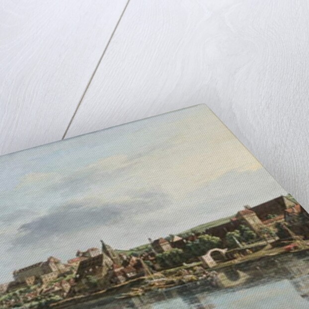 Pirna on the Elba, c.1756 by Bernardo Bellotto