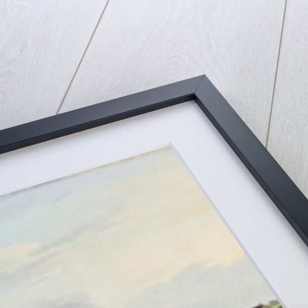 Pirna on the Elba, c.1756 by Bernardo Bellotto