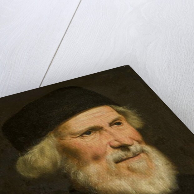 Portrait of a Venetian, c.1550 by Jacopo Robusti Tintoretto