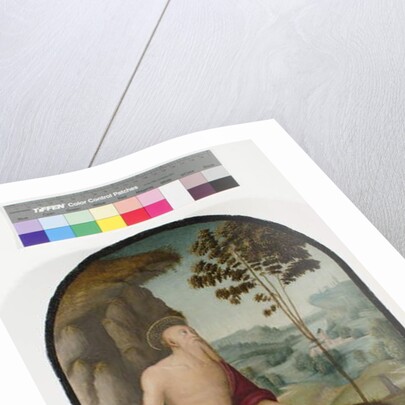 Saint Jerome in the Wilderness, c.1510-15 by Pietro Perugino