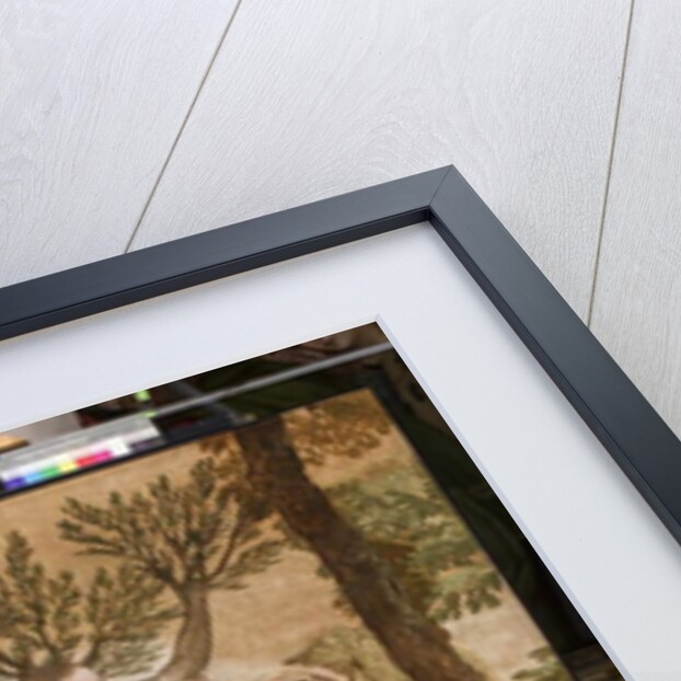 Apollo and Daphne, c.1560-65 by Veronese