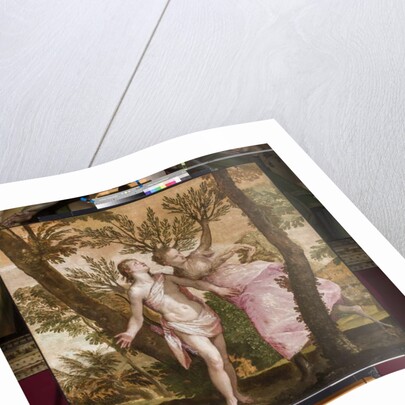 Apollo and Daphne, c.1560-65 by Veronese