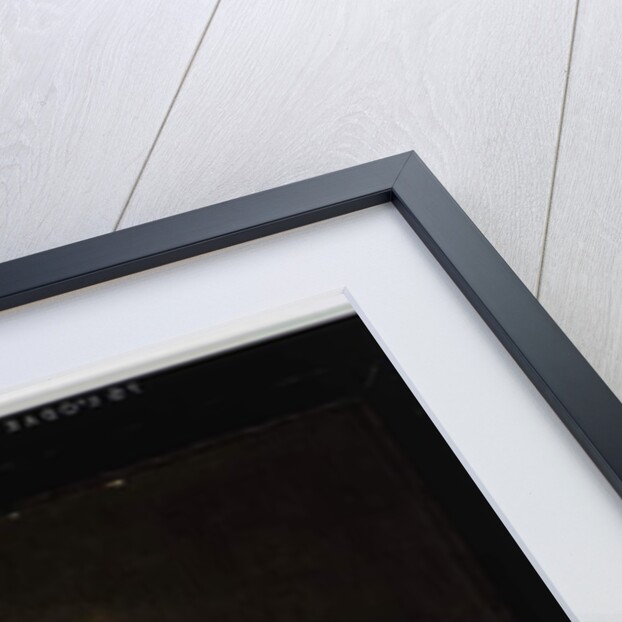 Portrait of Isaac Abrahamsz. Massa, c.1635 by Frans Hals