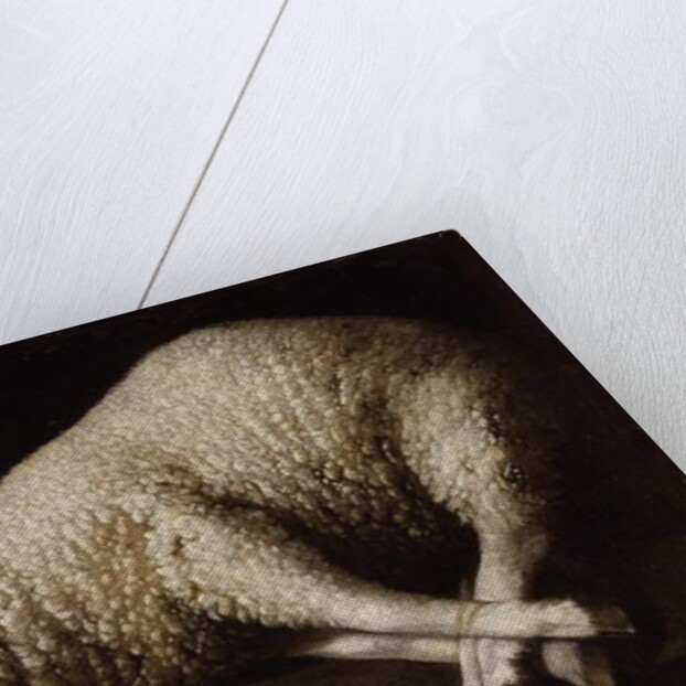 Agnus Dei, c.1635-40 by Francisco de Zurbaran