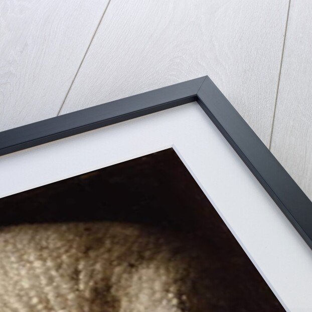 Agnus Dei, c.1635-40 by Francisco de Zurbaran