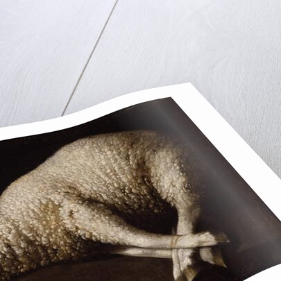 Agnus Dei, c.1635-40 by Francisco de Zurbaran