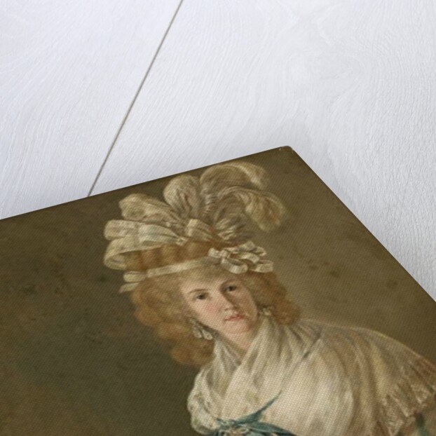 Portrait of a Lady with a Parrot, c.1785-90 by Luis Paret y Alcazar