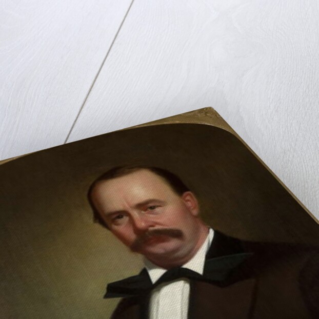 Portrait of Colonel James Hervey Birch, Jr., c.1878 by George Caleb Bingham