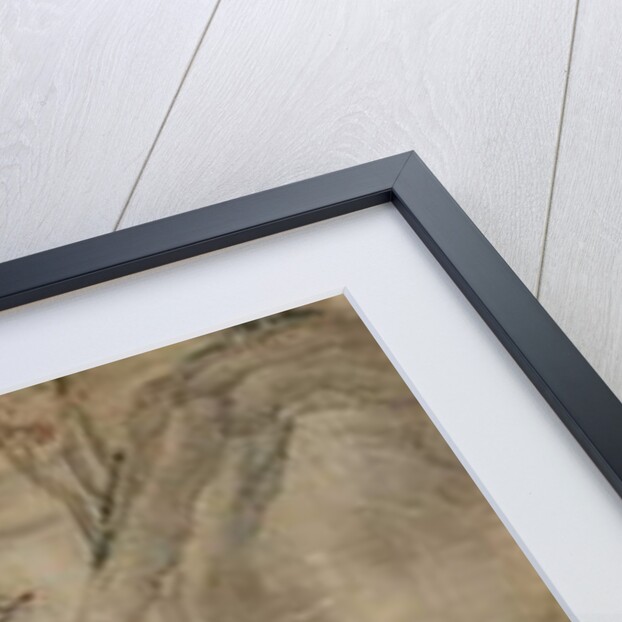 Hunting Scene by School Korean