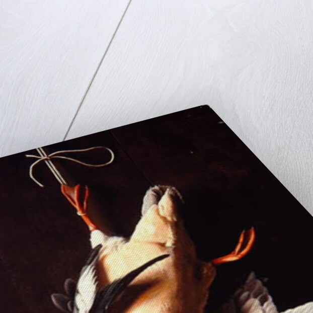 Merganser, 1883 by William Michael Harnett