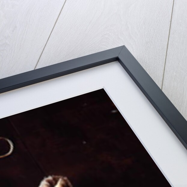 Merganser, 1883 by William Michael Harnett