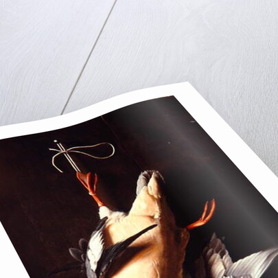 Merganser, 1883 by William Michael Harnett