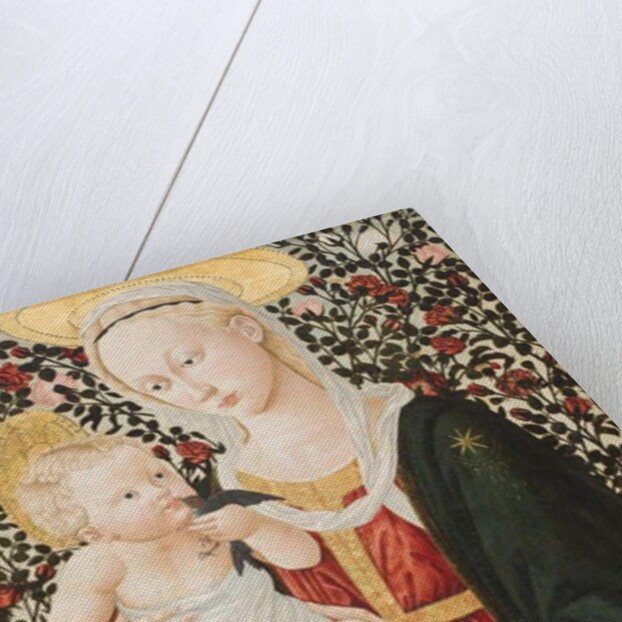 Madonna of the Roses, c.1485-90 by Pseudo Pier Francesco Fiorentino