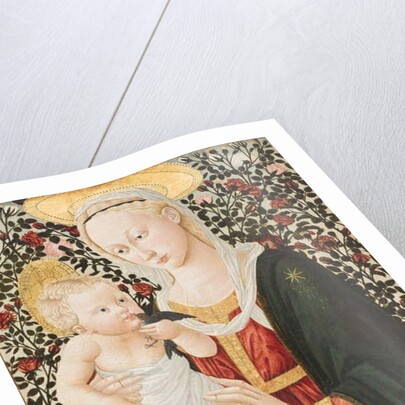 Madonna of the Roses, c.1485-90 by Pseudo Pier Francesco Fiorentino