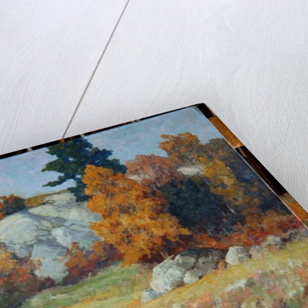 Rock Ledge in Autumn, c.1929 by Maurice Braun