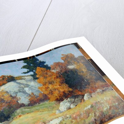 Rock Ledge in Autumn, c.1929 by Maurice Braun