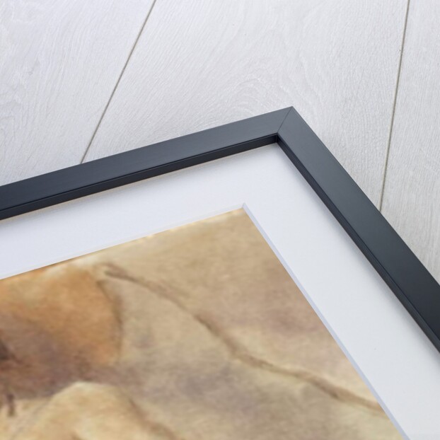 Seated Woman, c.1925-30 by Jules Pascin