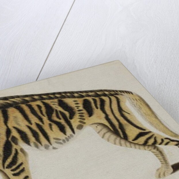 Hyena, after 1794 by Indian School