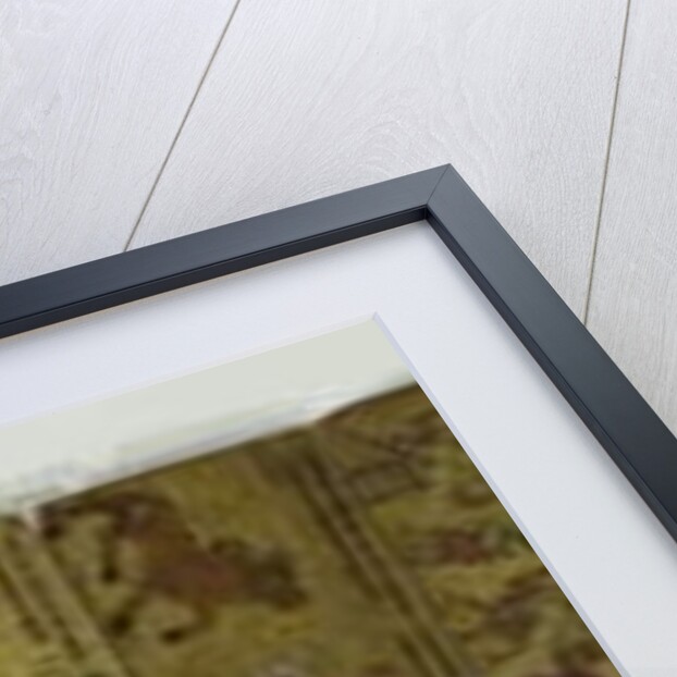 A concertina manuscript, various animal pictures by Nepalese School