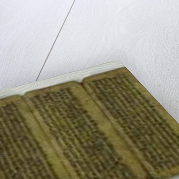 A concertina manuscript by Nepalese School