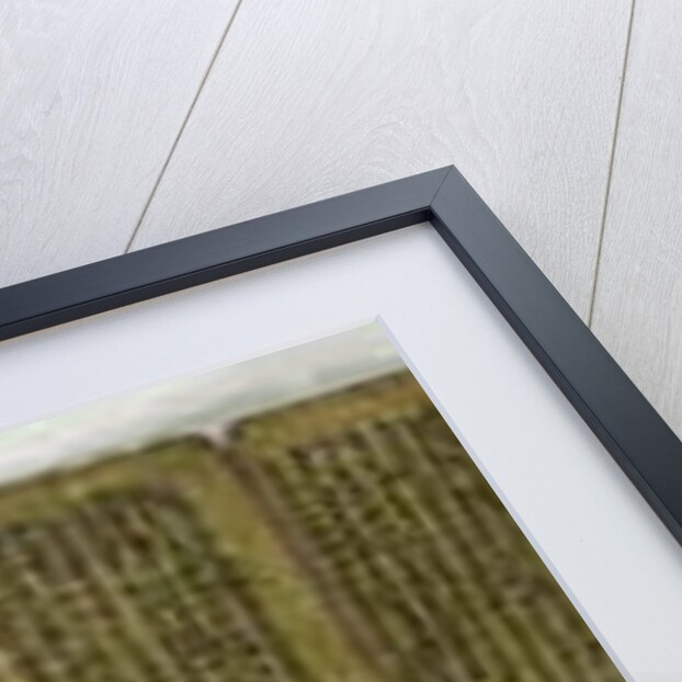 A concertina manuscript by Nepalese School