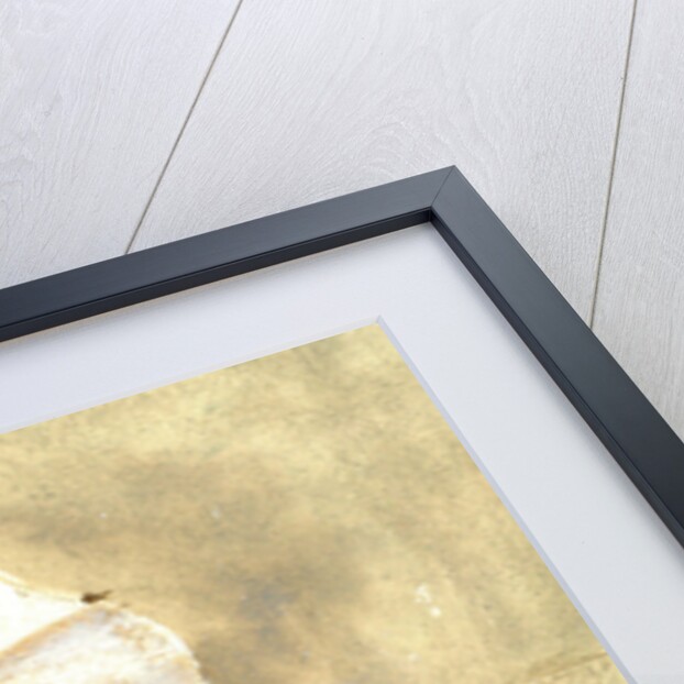 Umbrella and Child 2, 2015 by Lincoln Seligman